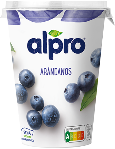 DANONE ALPRO ARANDANOS X 1