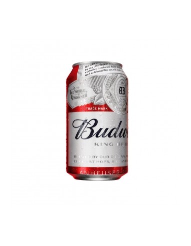 CERVEZA SKOL LATA 33 CL