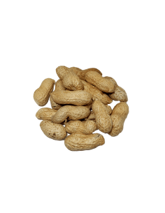 CASCARA GORDO TOSTADO SAL 220 GR.