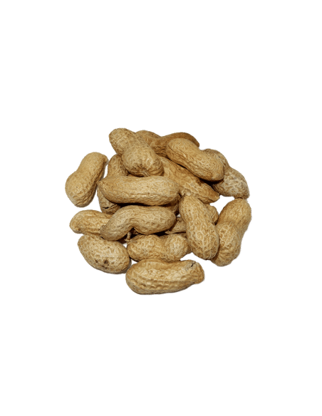 CASCARA GORDO TOSTADO SAL 220 GR.