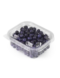 ARANDANOS TARRINA 125 GRS