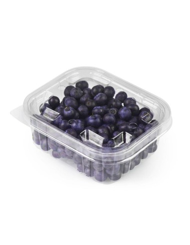 ARANDANOS TARRINA 125 GRS