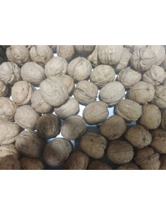 COKTEL 900 GR. REF. 22 EL LLANO